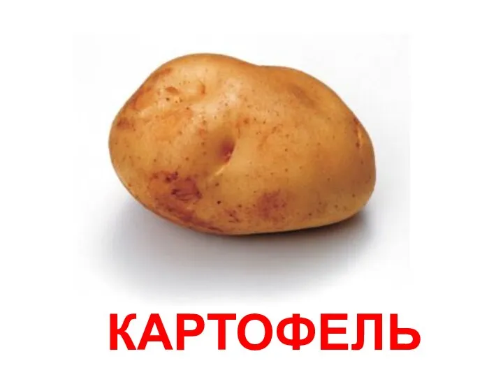 КАРТОФЕЛЬ