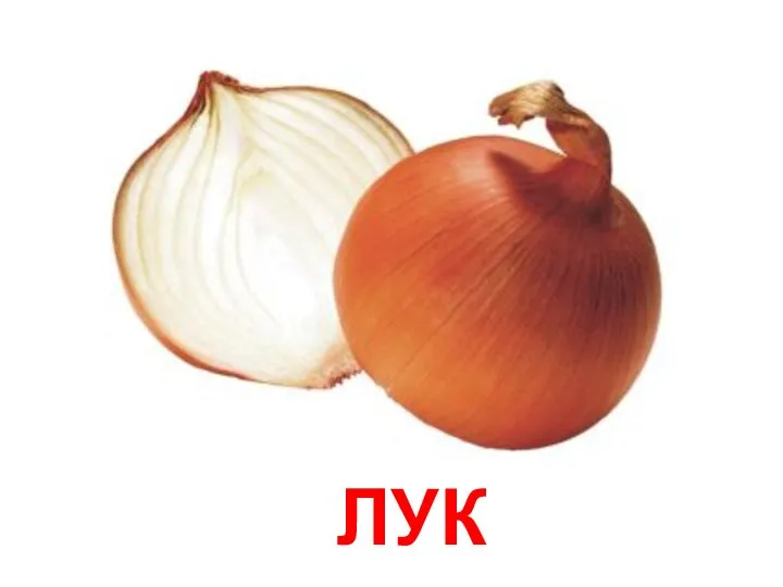 ЛУК