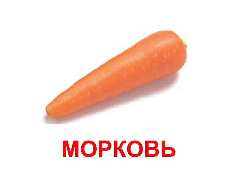 МОРКОВЬ