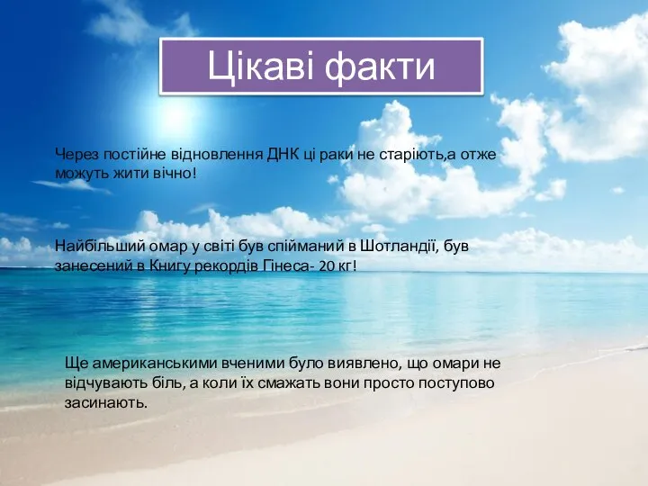 Цікаві факти Через постійне відновлення ДНК ці раки не старіють,а отже