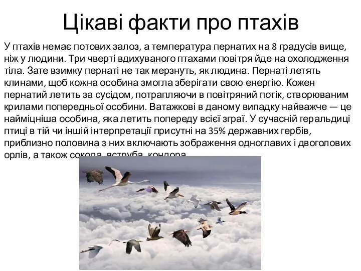 Цікаві факти про птахів У птахів немає потових залоз, а температура