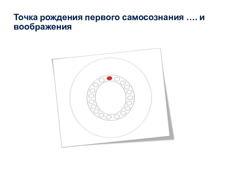 Точка рождения первого самосознания …. и воображения