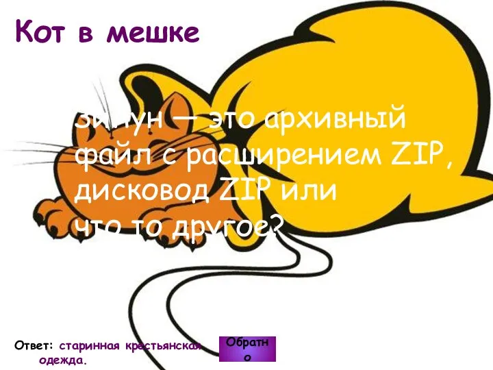 Кот в мешке Обратно Ответ: старинная крестьянская одежда. Зипун — это