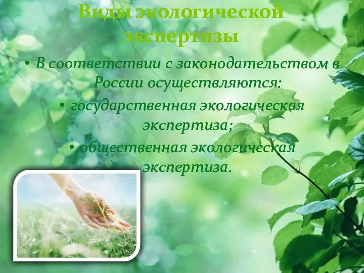 Виды экологической экспертизы В соответствии с законодательством в России осуществляются: государственная экологическая экспертиза; общественная экологическая экспертиза.