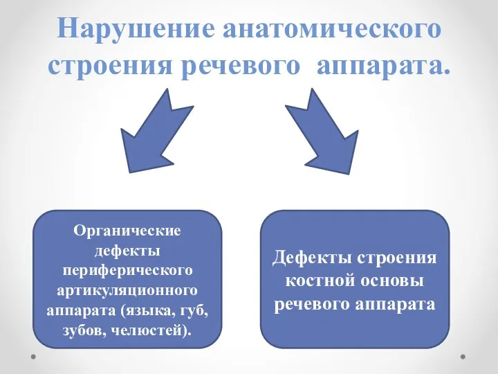 Нарушение анатомического строения речевого аппарата. Органические дефекты периферического артикуляционного аппарата (языка,