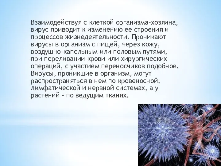 Взаимодействуя с клеткой организма-хозяина, вирус приводит к изменению ее строения и