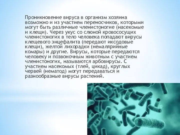 Проникновение вируса в организм хозяина возможно и из участием переносчиков, которыми