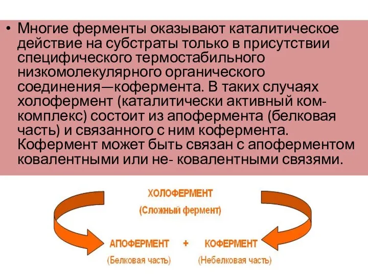 Многие ферменты оказывают каталитическое действие на субстраты только в присутствии специфического