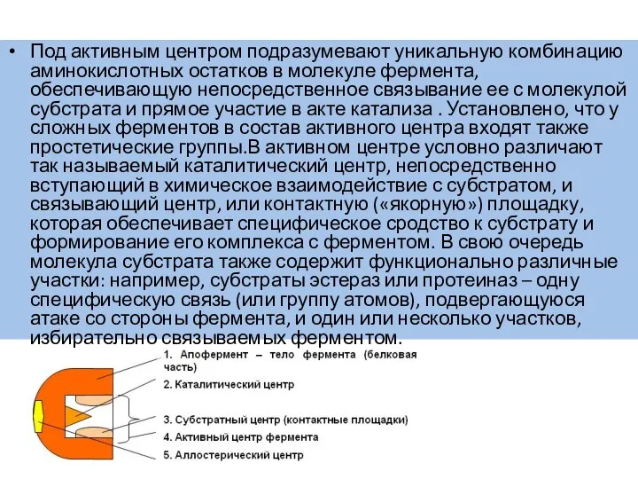 Под активным центром подразумевают уникальную комбинацию аминокислотных остатков в молекуле фермента,