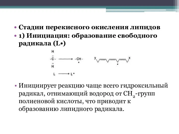 Стадии перекисного окисления липидов 1) Инициация: образование свободного радикала (L•) Инициирует