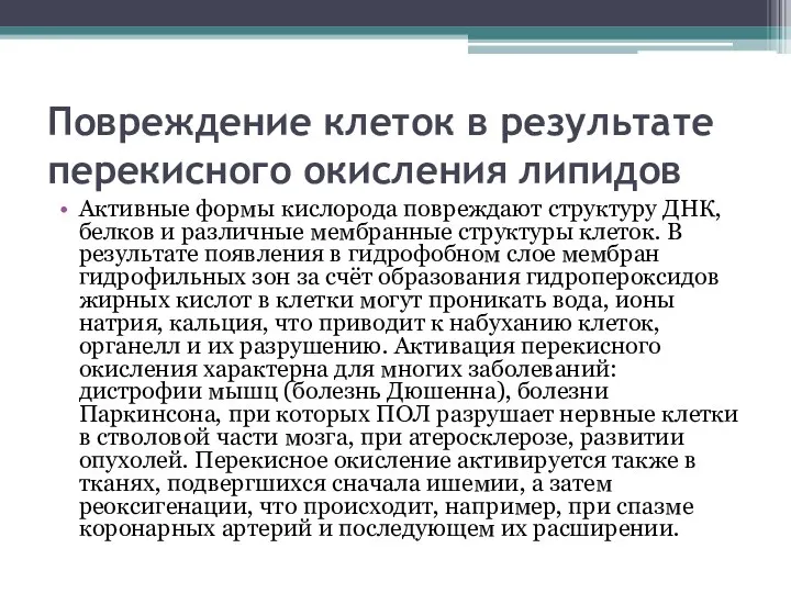 Повреждение клеток в результате перекисного окисления липидов Активные формы кислорода повреждают