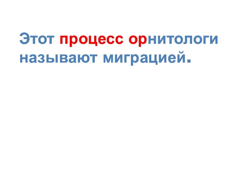 Этот процесс орнитологи называют миграцией. Этот процесс орнитологи называют миграцией.