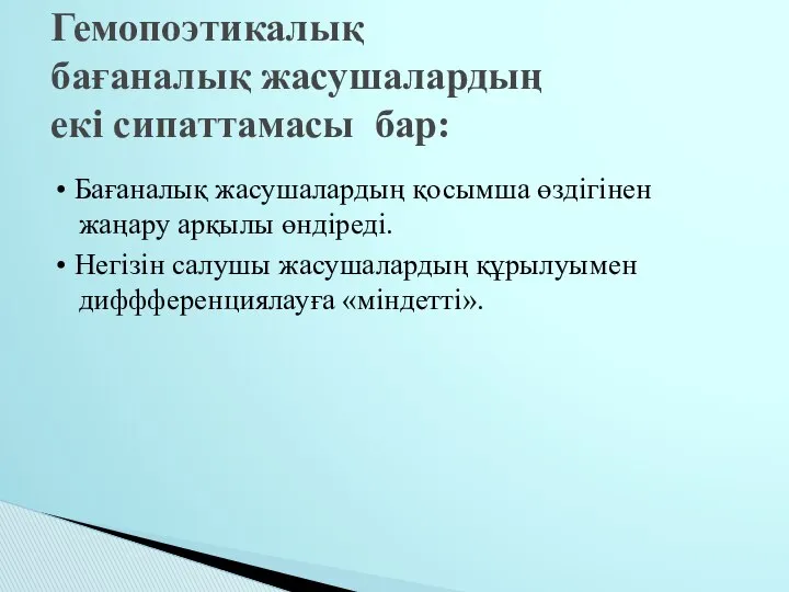 • Бағаналық жасушалардың қосымша өздігінен жаңару арқылы өндіреді. • Негізін салушы