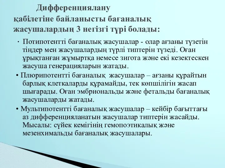 • Потипотентті бағаналық жасушалар - олар ағзаны түзетін тіңдер мен жасушалардың