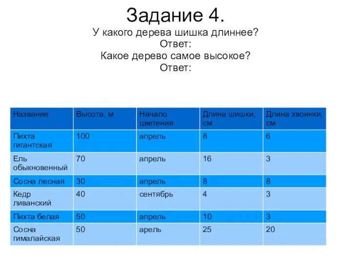 Задание 4. У какого дерева шишка длиннее? Ответ: Какое дерево самое высокое? Ответ: