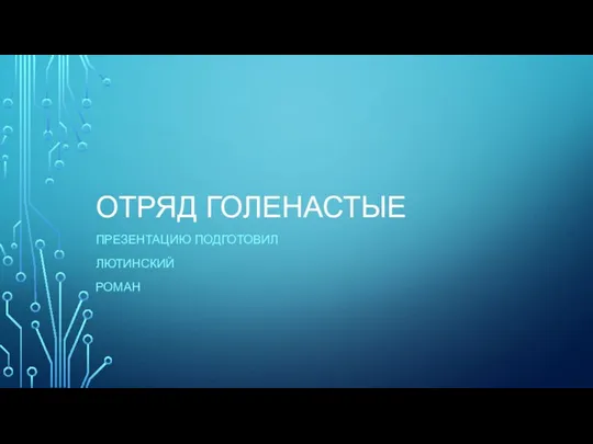 Отряд голенастые