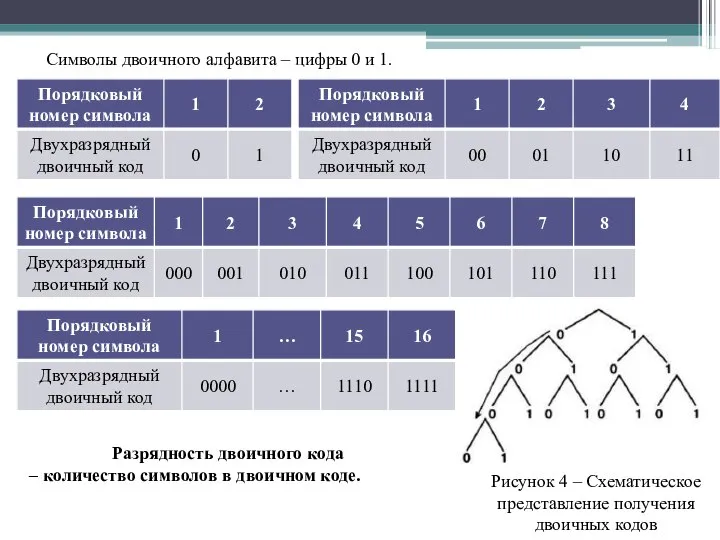 Символы двоичного алфавита – цифры 0 и 1. Рисунок 4 –