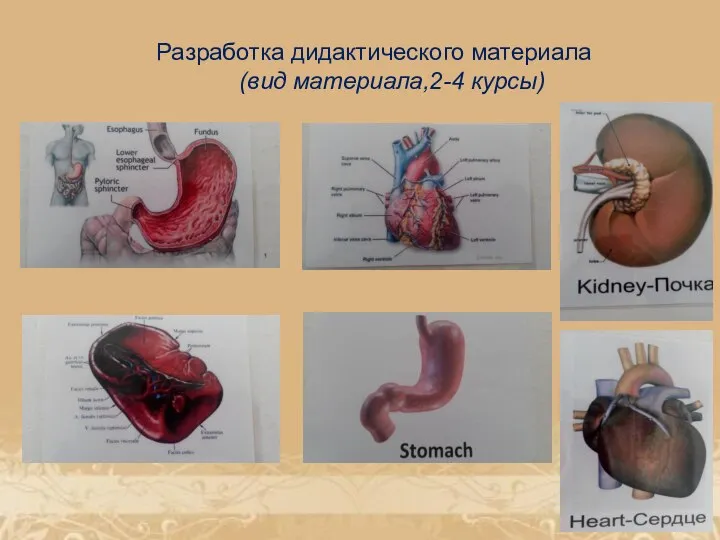 Разработка дидактического материала (вид материала,2-4 курсы)