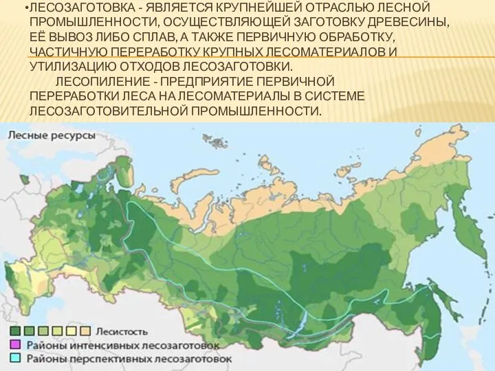 ЛЕСОЗАГОТОВКА - ЯВЛЯЕТСЯ КРУПНЕЙШЕЙ ОТРАСЛЬЮ ЛЕСНОЙ ПРОМЫШЛЕННОСТИ, ОСУЩЕСТВЛЯЮЩЕЙ ЗАГОТОВКУ ДРЕВЕСИНЫ, ЕЁ