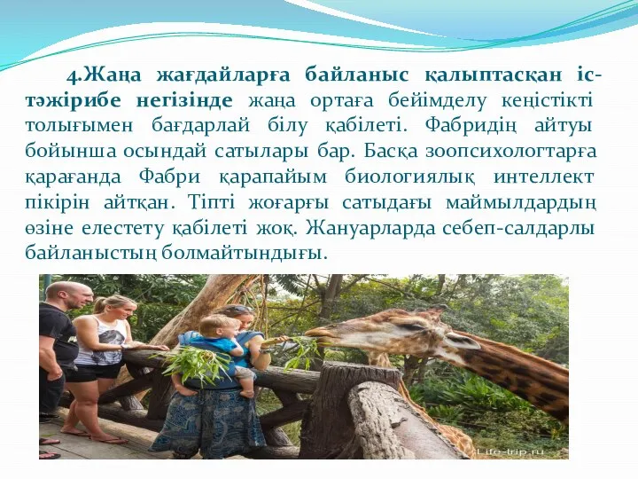 4.Жаңа жағдайларға байланыс қалыптасқан іс-тәжірибе негізінде жаңа ортаға бейімделу кеңістікті толығымен