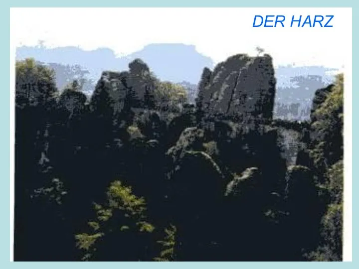 DER HARZ