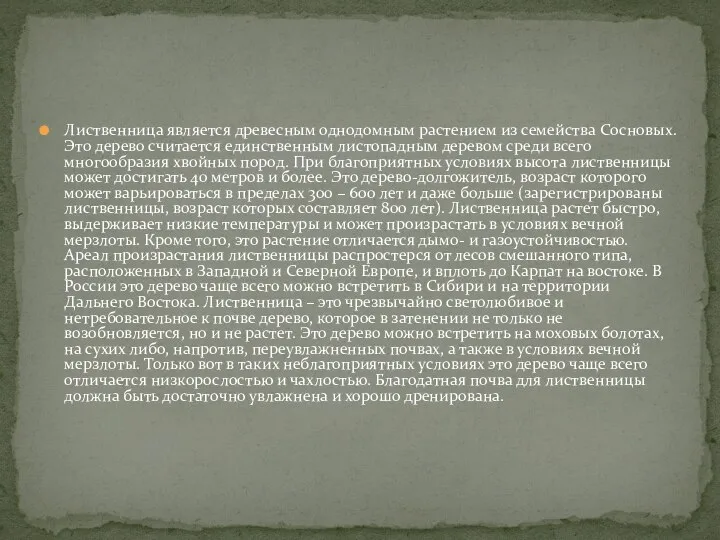 Лиственница является древесным однодомным растением из семейства Сосновых. Это дерево считается