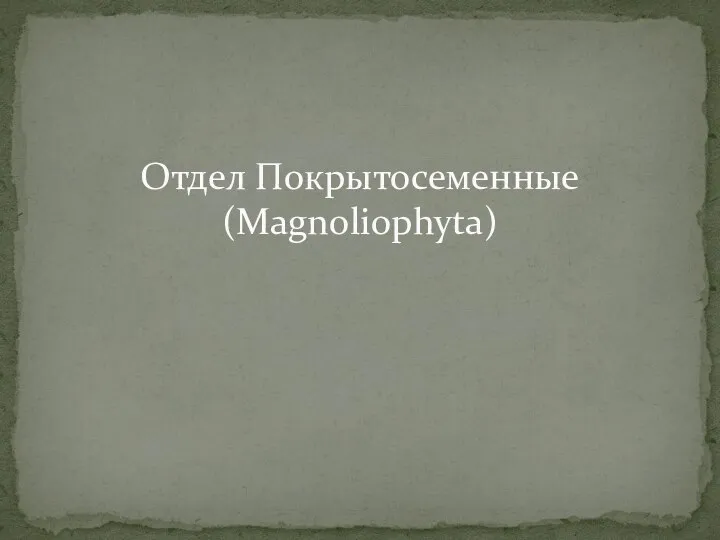 Отдел Покрытосеменные (Magnoliophyta)