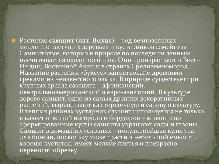 Растение самшит (лат. Buxus) – род вечнозеленых медленно растущих деревьев и