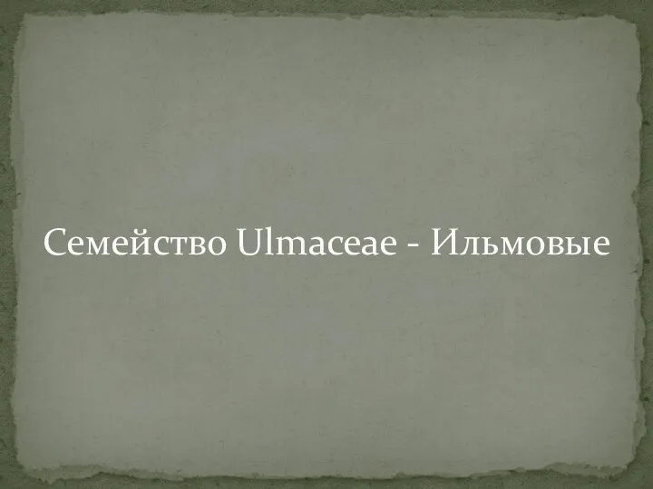 Семейство Ulmaceae - Ильмовые