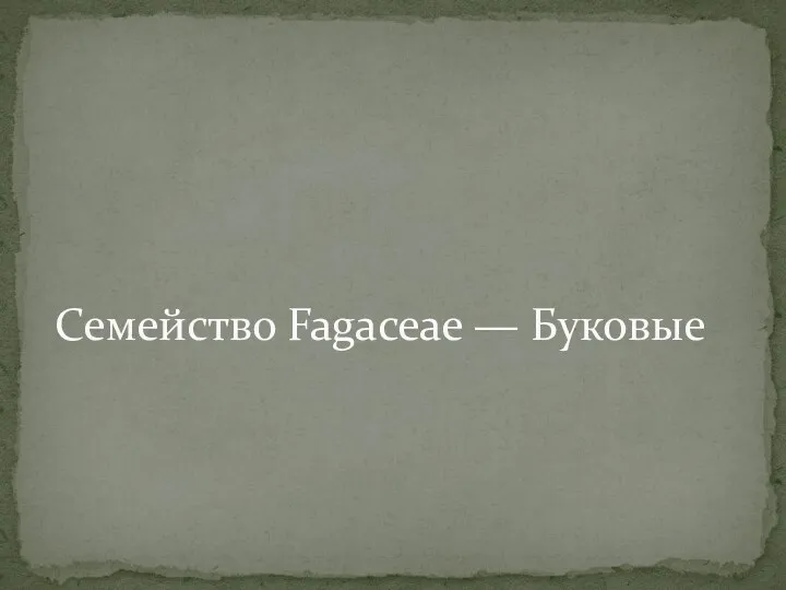 Семейство Fagaceae — Буковые