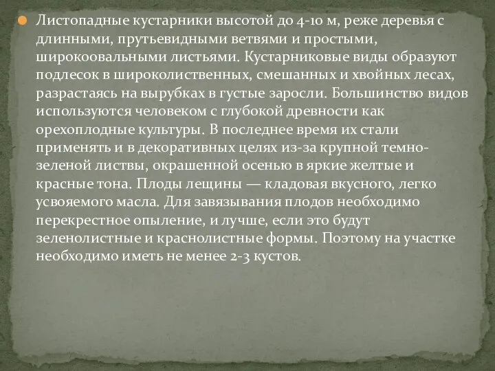 Листопадные кустарники высотой до 4-10 м, реже деревья с длинными, прутьевидными