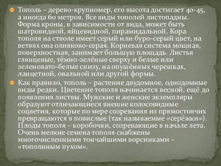 Тополь – дерево-крупномер, его высота достигает 40-45, а иногда 60 метров.