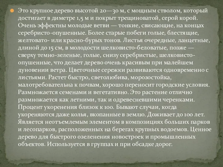 Это крупное дерево высотой 20—30 м, с мощным стволом, который достигает