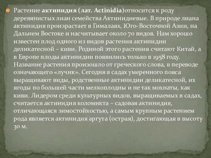 Растение актинидия (лат. Actinidia)относится к роду деревянистых лиан семейства Актинидиевые. В