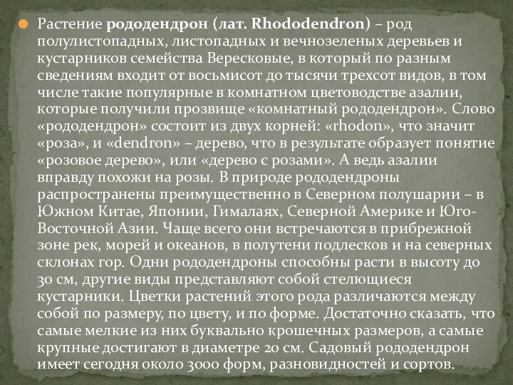 Растение рододендрон (лат. Rhododendron) – род полулистопадных, листопадных и вечнозеленых деревьев