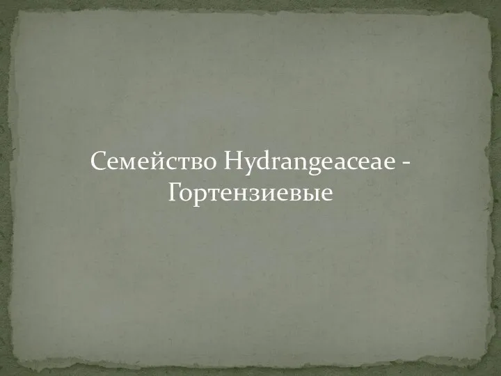 Семейство Hydrangeaceae - Гортензиевые