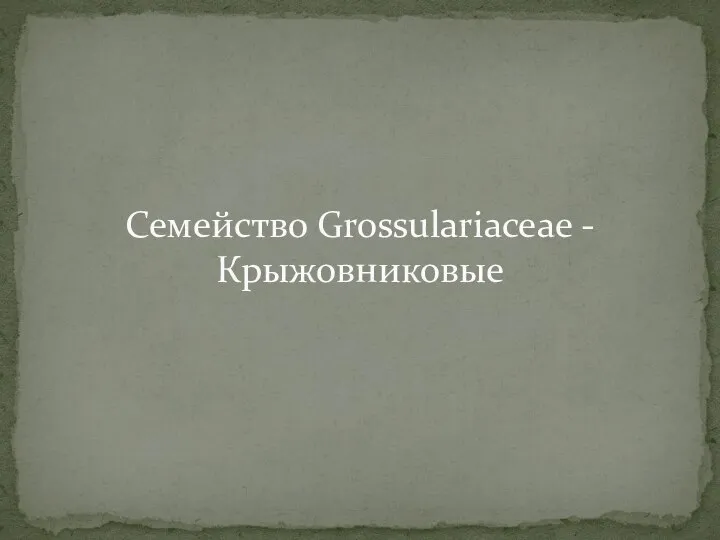 Семейство Grossulariaceae - Крыжовниковые