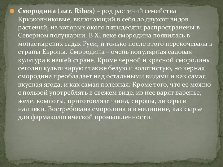 Смородина (лат. Ribes) – род растений семейства Крыжовниковые, включающий в себя