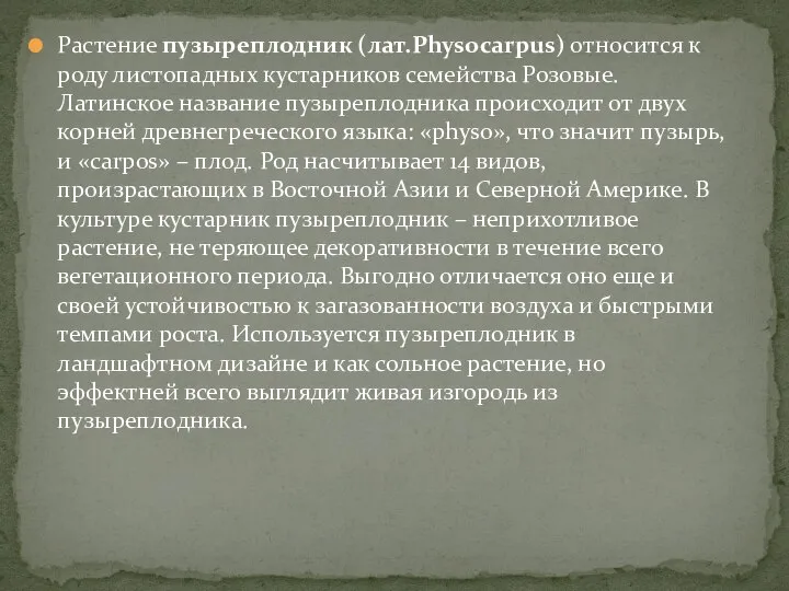 Растение пузыреплодник (лат.Physocarpus) относится к роду листопадных кустарников семейства Розовые. Латинское