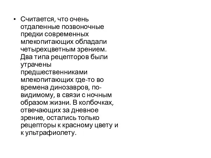 Считается, что очень отдаленные позвоночные предки современных млекопитающих обладали четырехцветным зрением.