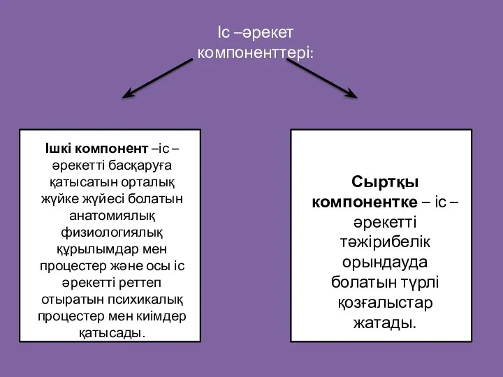 Іс –әрекет компоненттері: Ішкі компонент –іс –әрекетті басқаруға қатысатын орталық жүйке