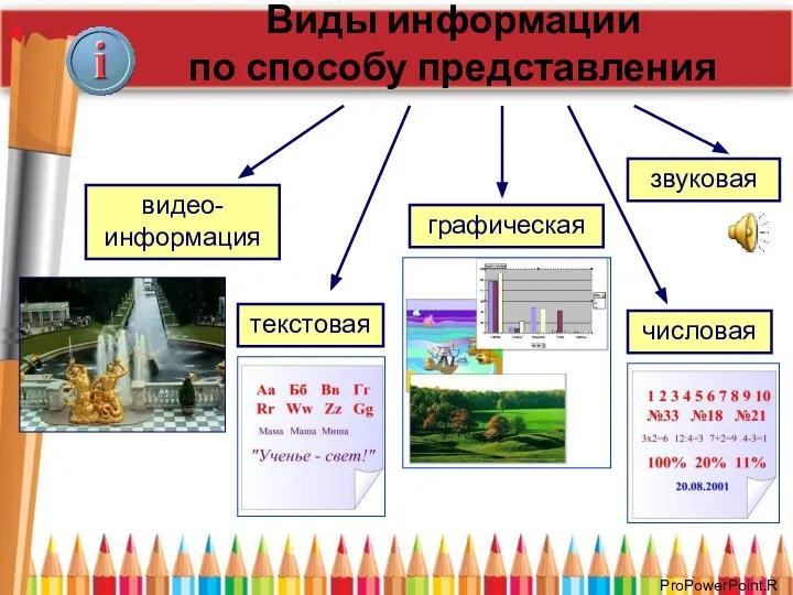 Виды информации по способу представления текстовая графическая числовая звуковая видео-информация