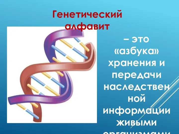 – это «азбука» хранения и передачи наследственной информации живыми организмами Генетический алфавит