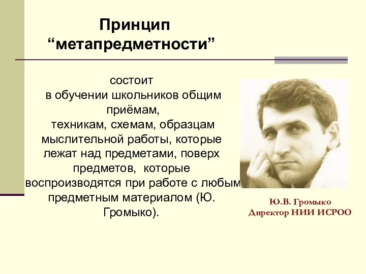 Принцип “метапредметности” состоит в обучении школьников общим приёмам, техникам, схемам, образцам