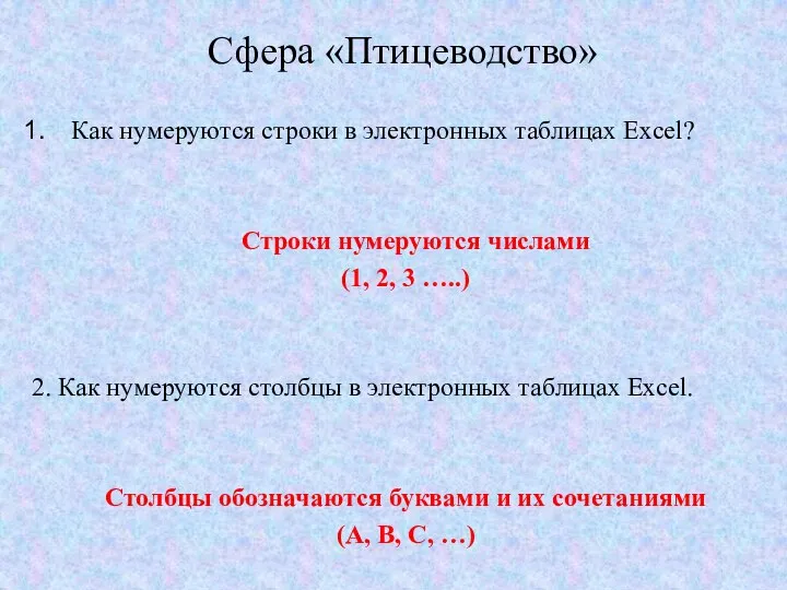 Сфера «Птицеводство» Как нумеруются строки в электронных таблицах Excel? Строки нумеруются