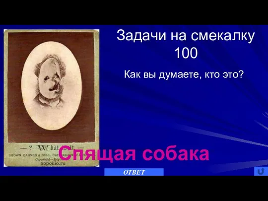 Задачи на смекалку 100 ОТВЕТ Как вы думаете, кто это? Спящая собака