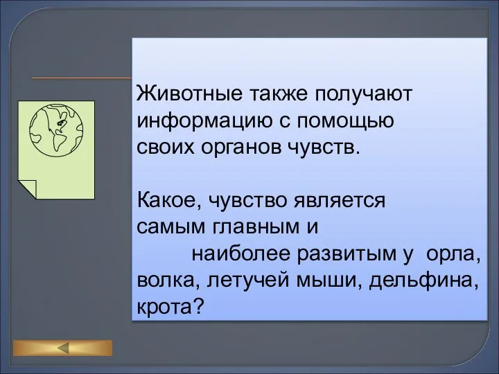 Животные также получают информацию с помощью своих органов чувств. Какое, чувство