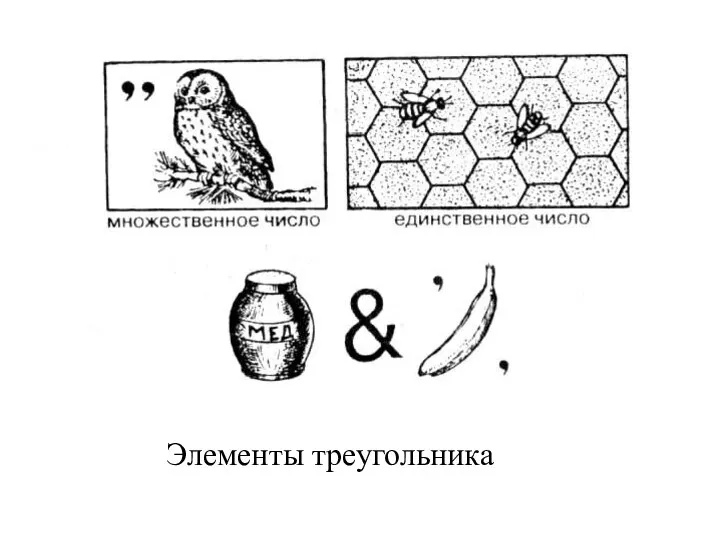 Элементы треугольника