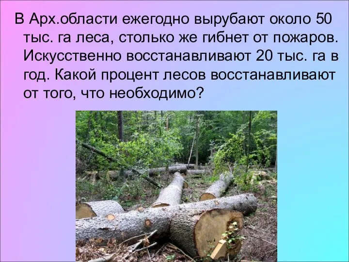 В Арх.области ежегодно вырубают около 50 тыс. га леса, столько же