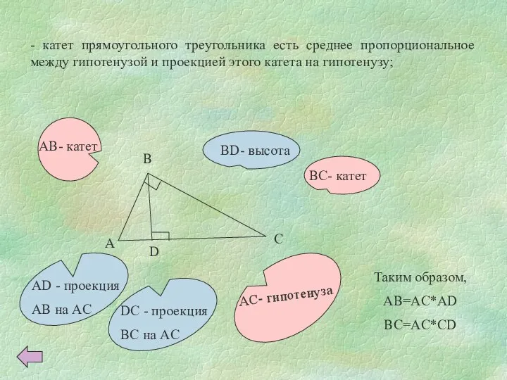 - катет прямоугольного треугольника есть среднее пропорциональное между гипотенузой и проекцией